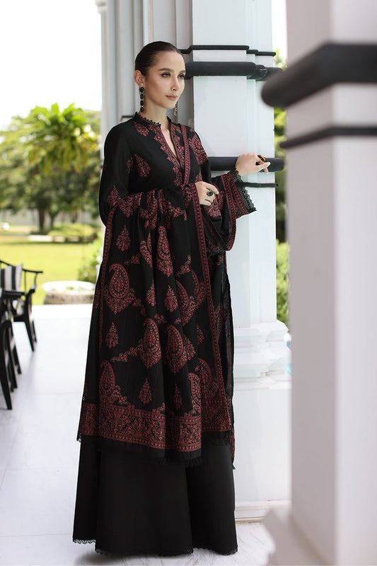 Winter Party Wear Collection